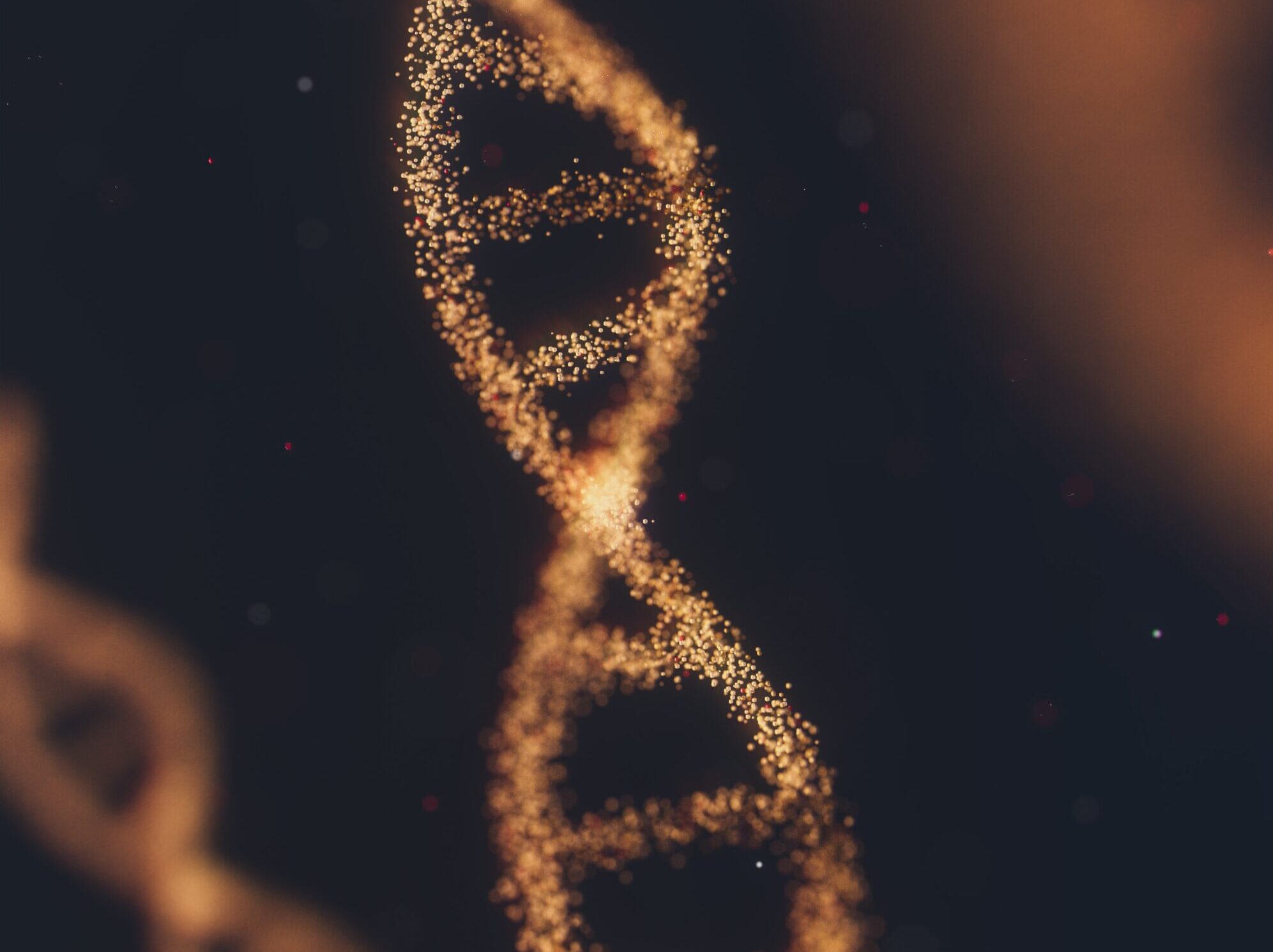 DNA