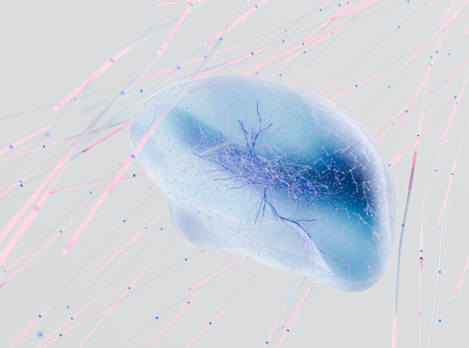 Neural